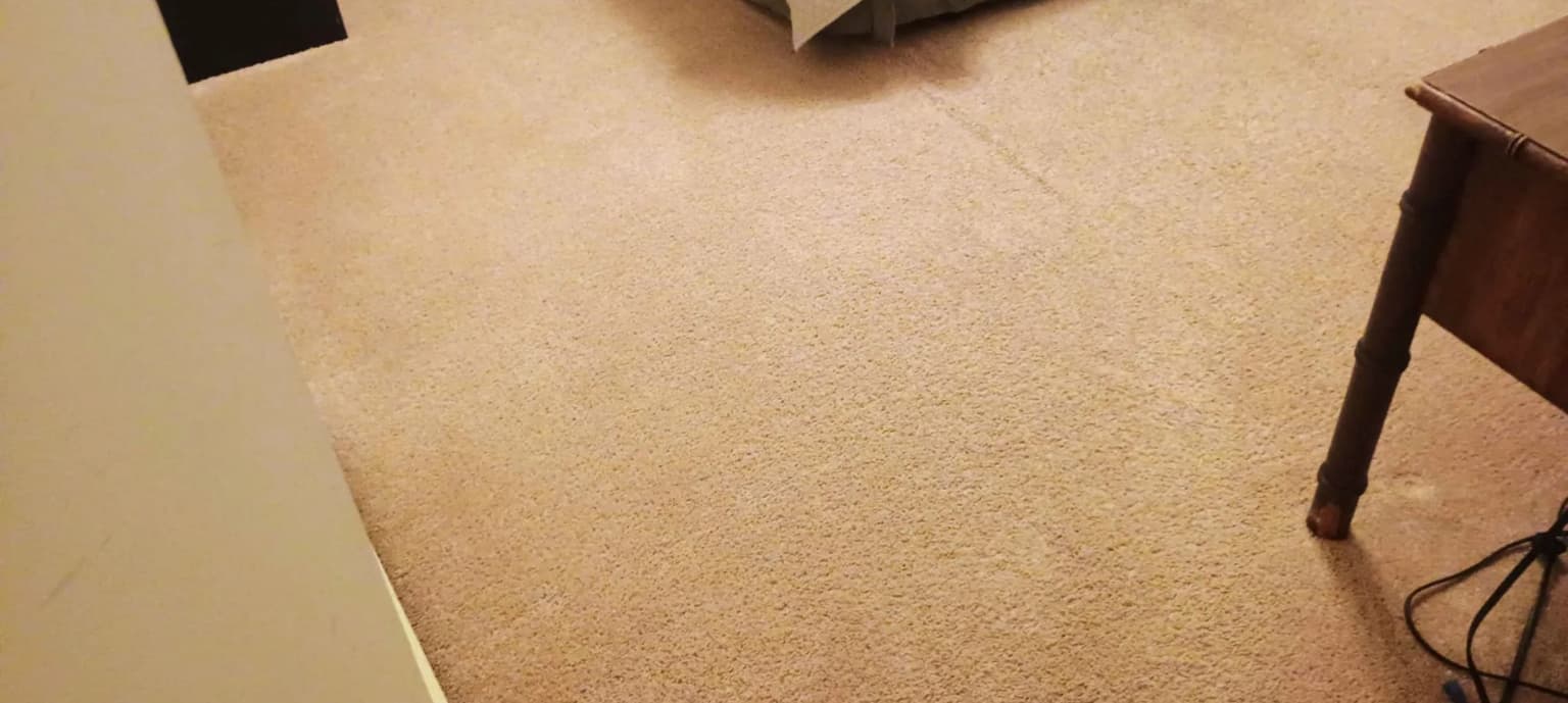 Safe-Dry carpet cleaning service in Missouri City, TX