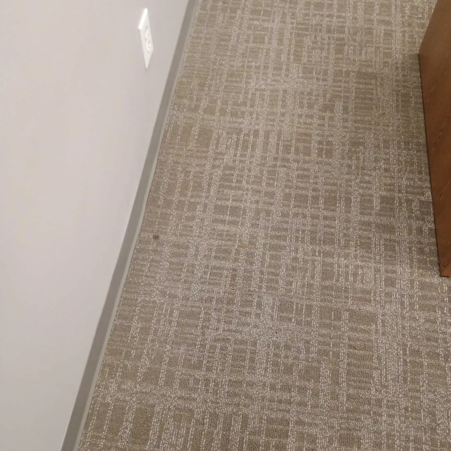 Carpet Cleaning in Sugar Land, Texas: The Stain Nobody Knew Was There
