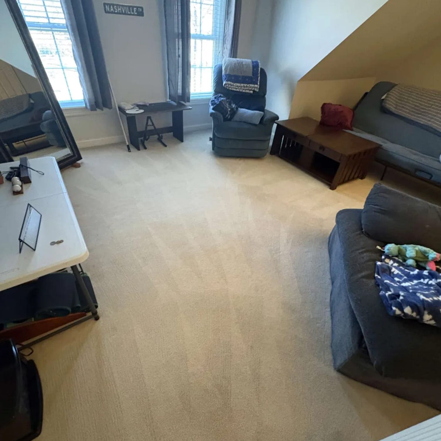 Carpet Cleaning in Sugar Land, TX for Pet-Friendly Homes