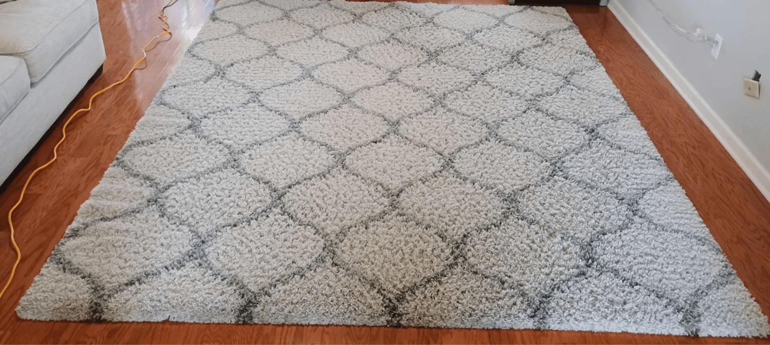 Area Rug Cleaning in Sugar Land, TX