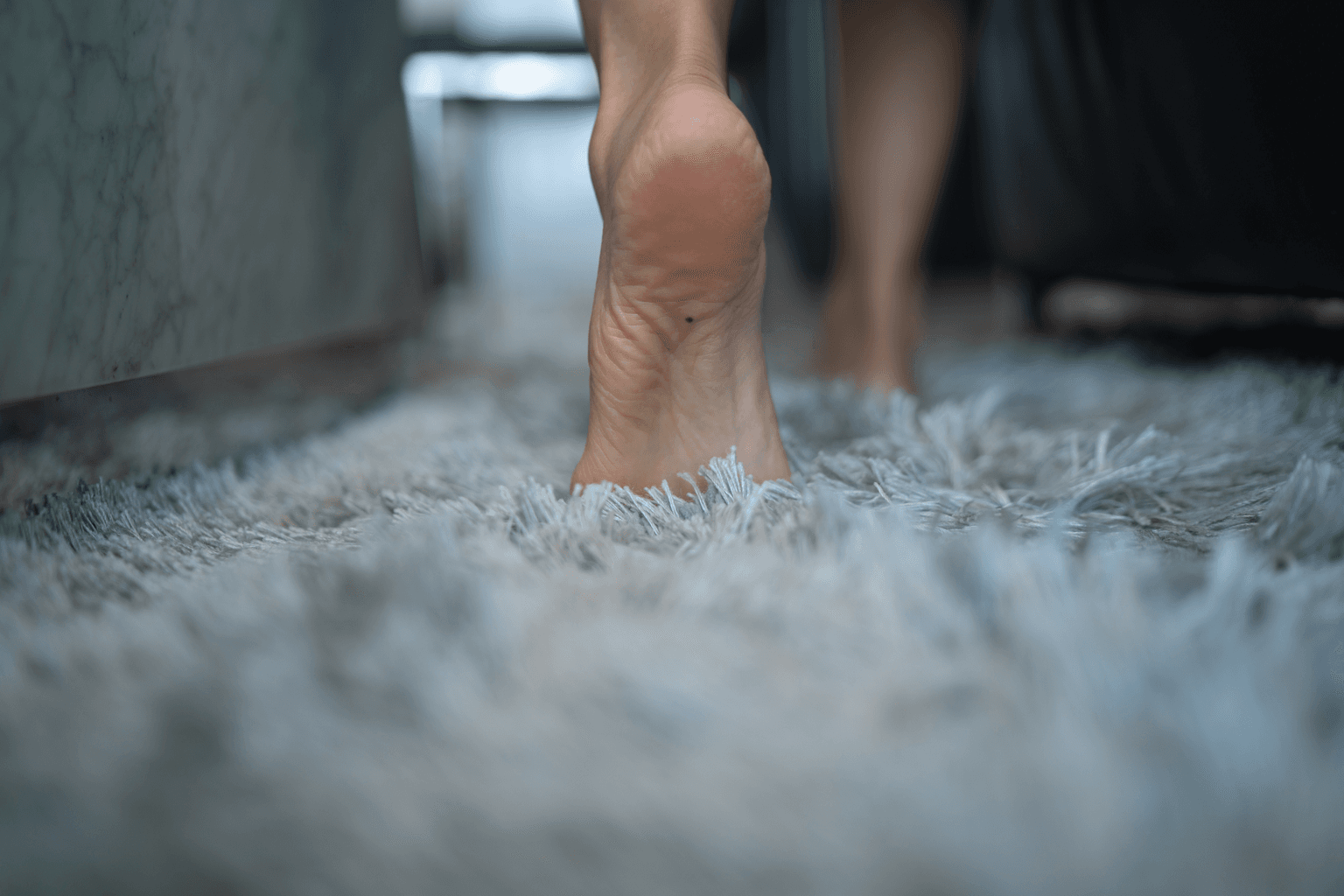 Carpet Cleaning in Sugar Land, TX