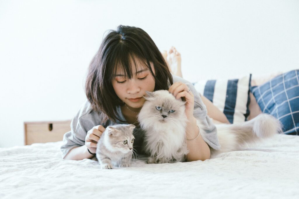 Cats on Bed