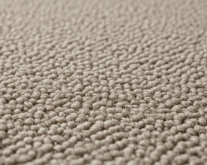 Best Carpet for Your Home