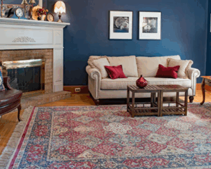 Best rug cleaning service