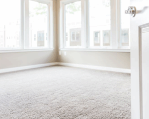 Modern home with clean carpet