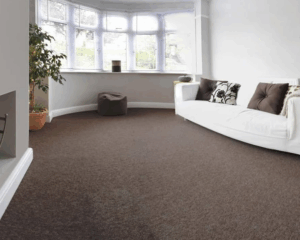 Modern home with clean carpet