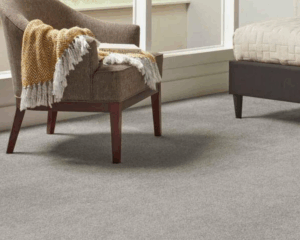 Modern home with clean carpet