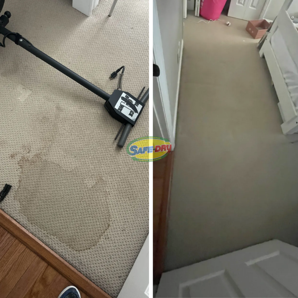 Before and After Carpet Cleaning (1)
